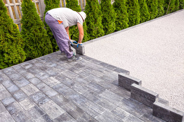 Best Affordable Driveway Paving  in Moapa Valley, NV